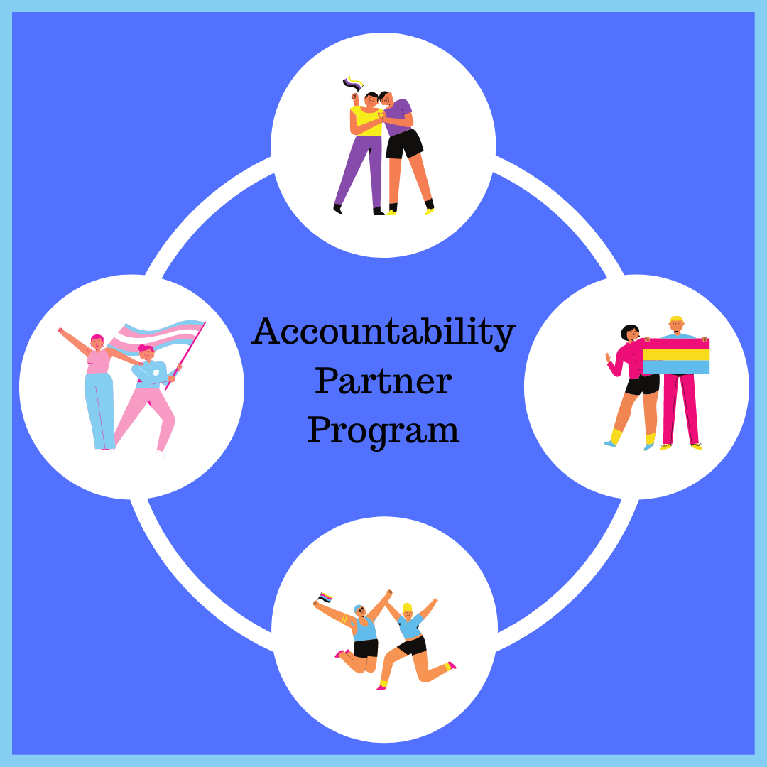 Accountability Partner Program